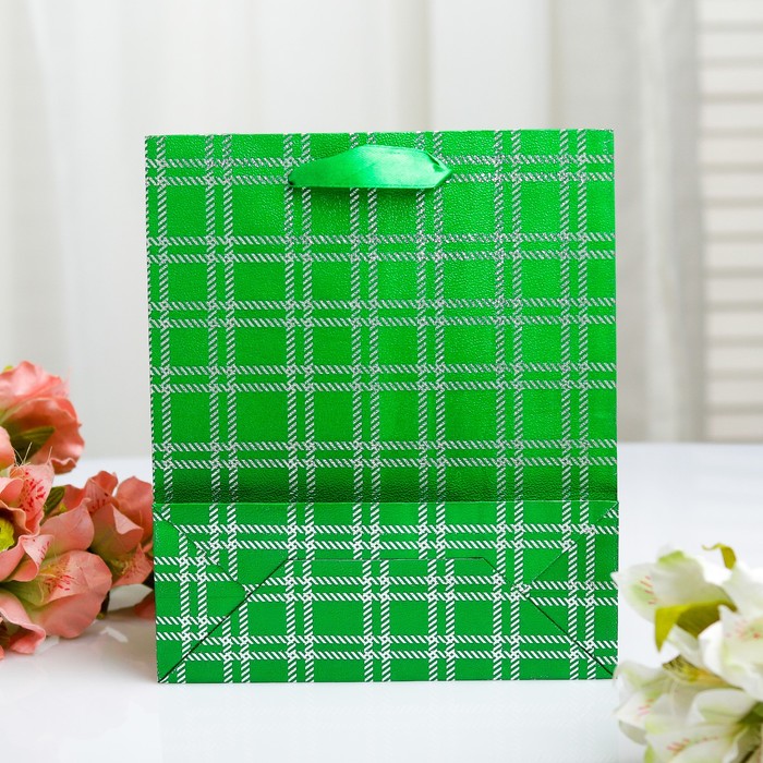 Пакет голография, 18 х 21.5 х 7,5 см