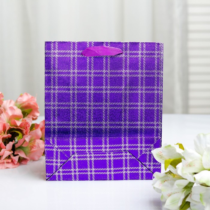 Пакет голография, 18 х 21.5 х 7,5 см