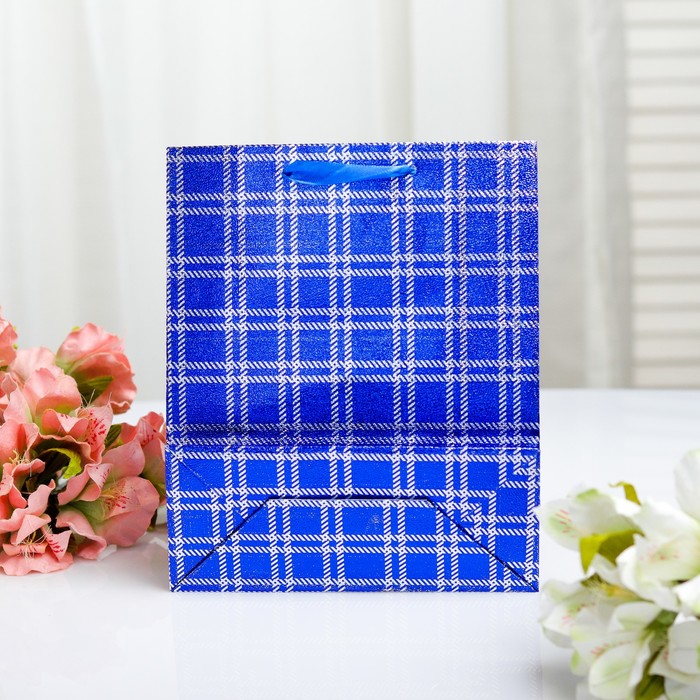 Пакет голография, 18 х 21.5 х 7,5 см