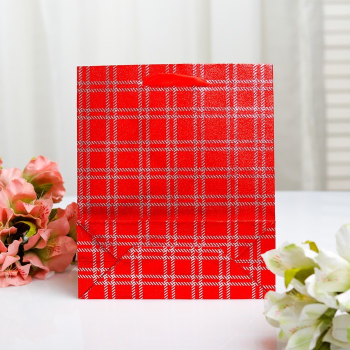 Пакет голография, 18 х 21.5 х 7,5 см