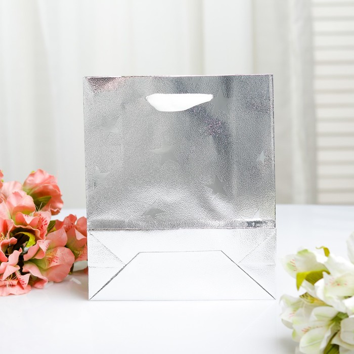 Пакет голография, 18 х 21.5 х 7,5 см