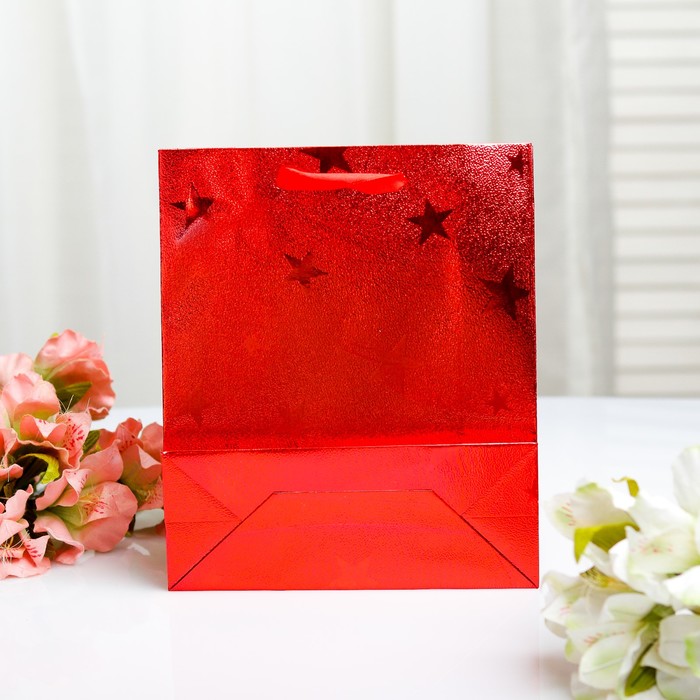 Пакет голография, 18 х 21.5 х 7,5 см