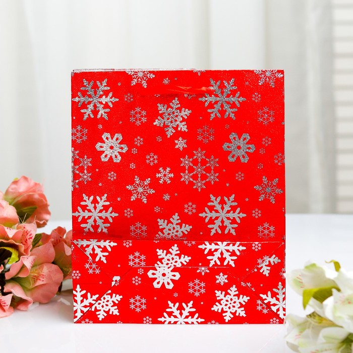 Пакет голография, 18 х 21.5 х 7,5 см