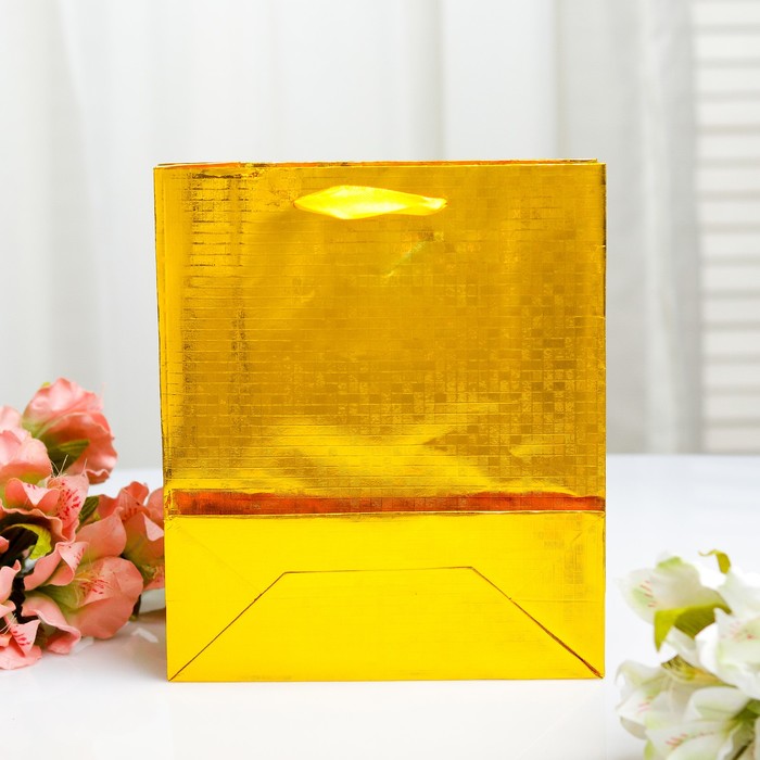 Пакет голография, 18 х 21.5 х 7,5 см