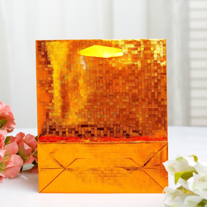 Пакет голография, 18 х 21.5 х 7,5 см