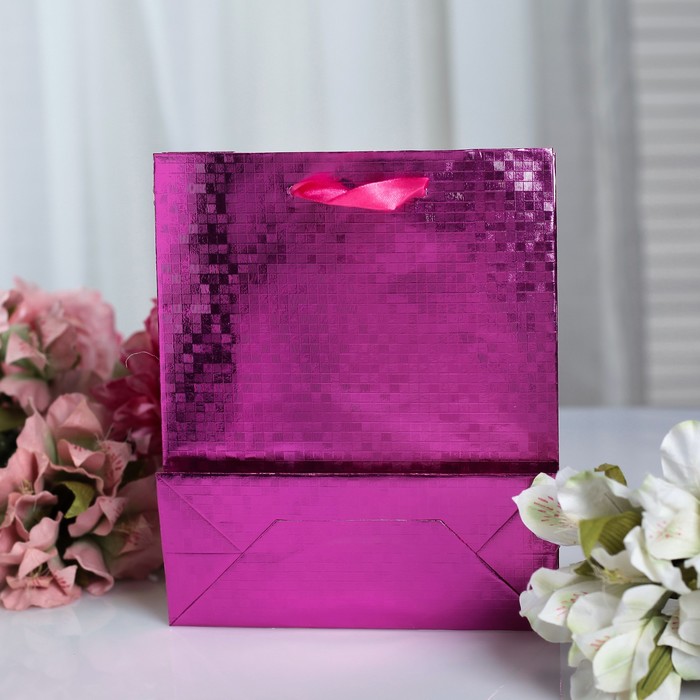 Пакет голография, 18 х 21.5 х 7,5 см