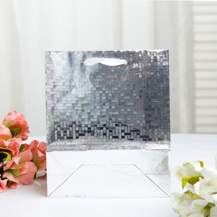 Пакет голография, 18 х 21.5 х 7,5 см