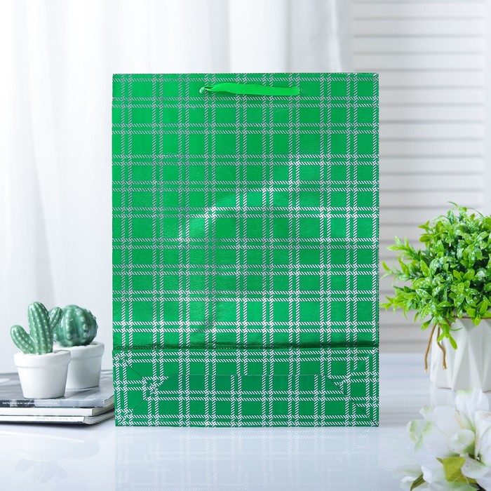 Пакет голография, 26 х 34 х 8 см