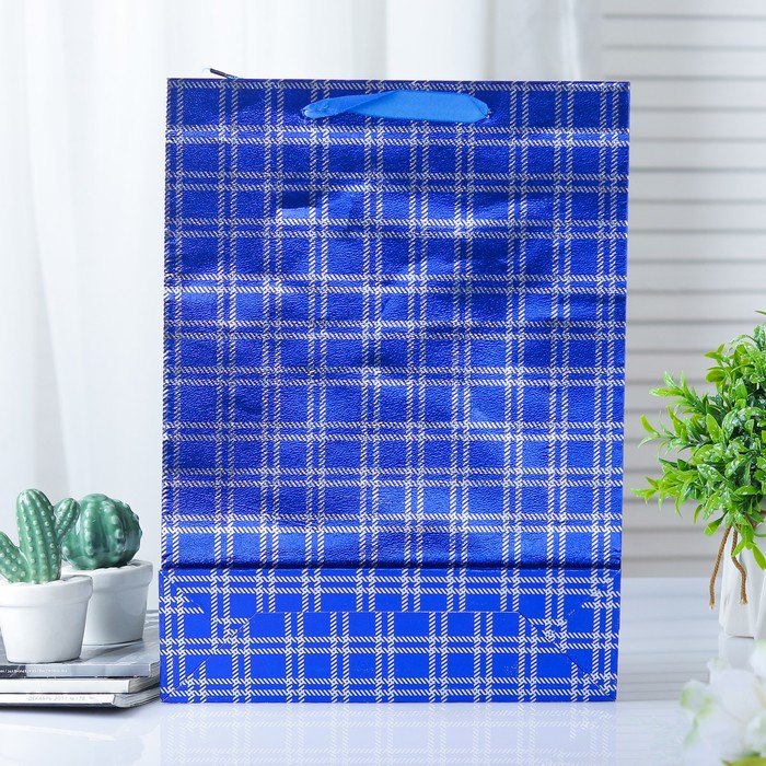 Пакет голография, 26 х 34 х 8 см