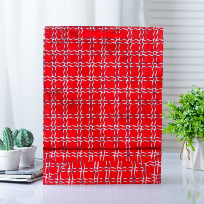 Пакет голография, 26 х 34 х 8 см