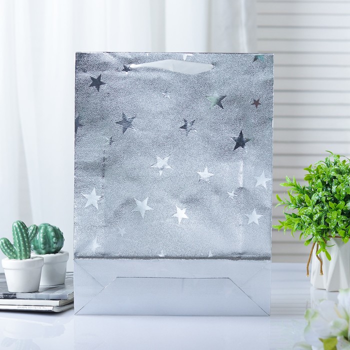 Пакет голография, 26 х 34 х 8 см