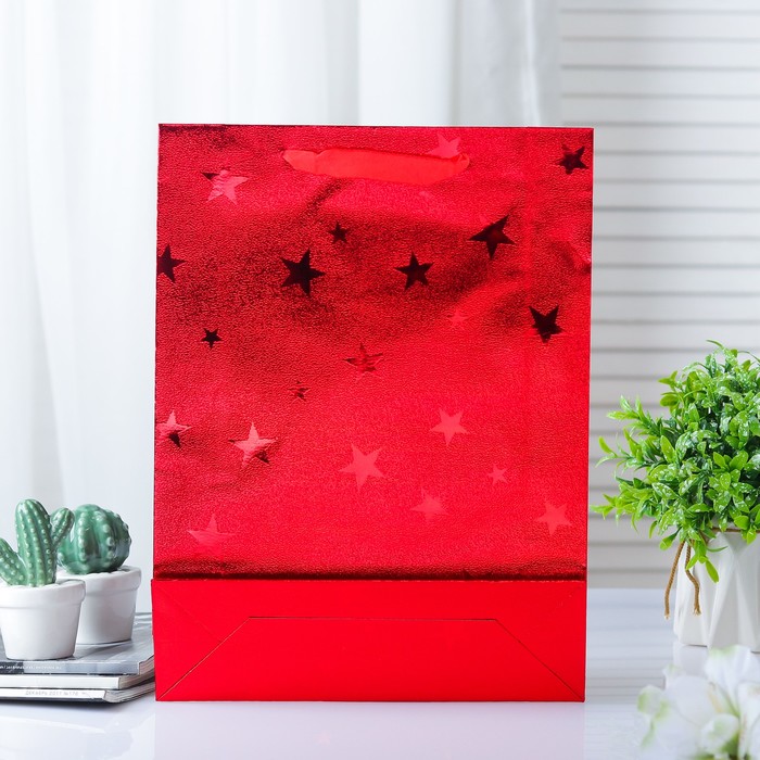 Пакет голография, 26 х 34 х 8 см