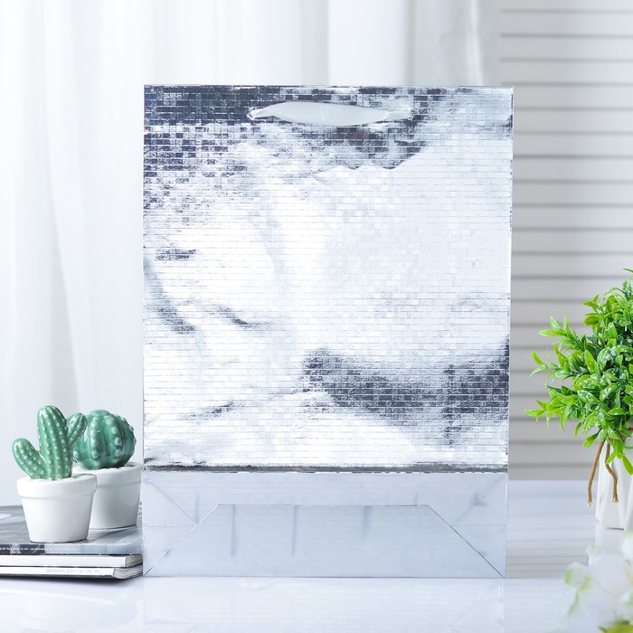 Пакет голография, 26 х 34 х 8 см