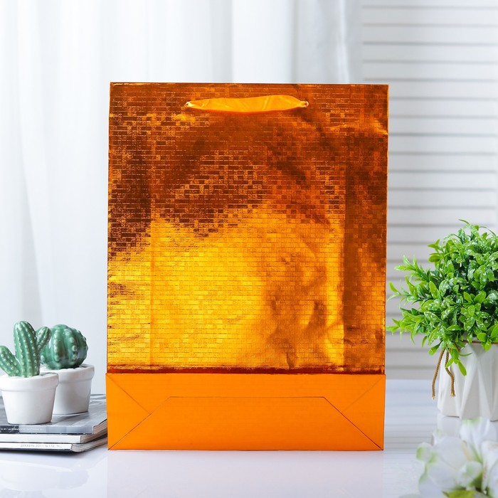 Пакет голография, 26 х 34 х 8 см