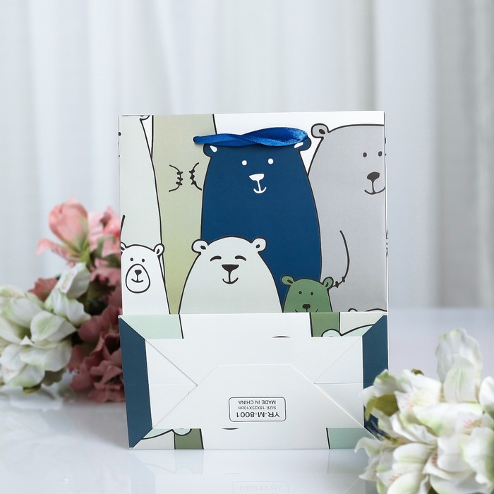 Пакет ламинированный 10 х 18 х 23 см