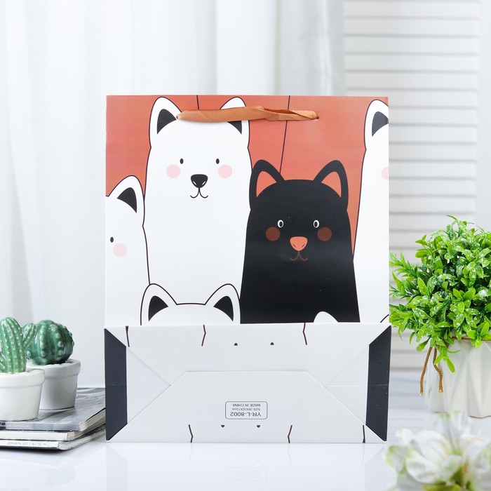 Пакет ламинированный 12 х 26 х 32 см