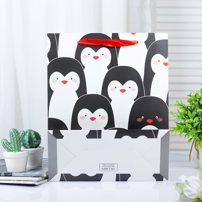 Пакет ламинированный 12 х 26 х 32 см