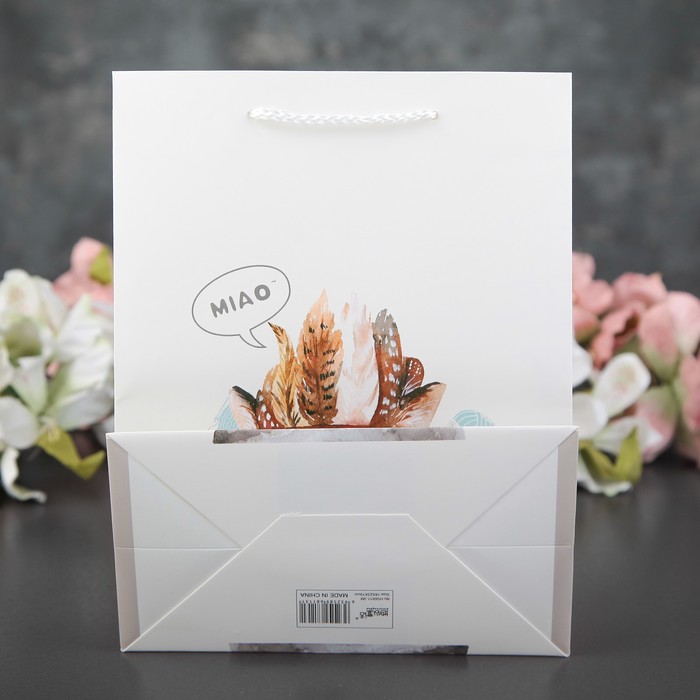 Пакет ламинированный 18 х 10 х 23 см