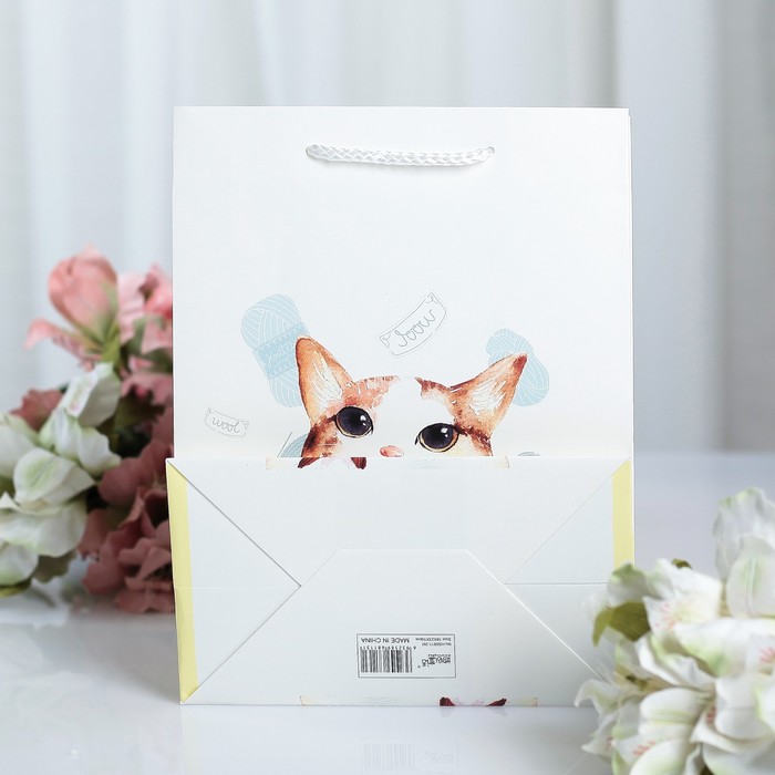 Пакет ламинированный 18 х 10 х 23 см