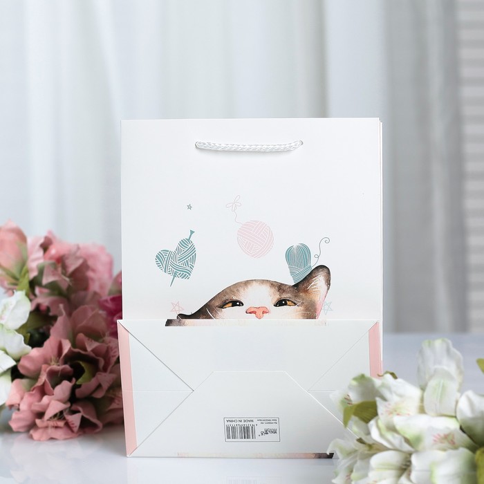 Пакет ламинированный 18 х 10 х 23 см