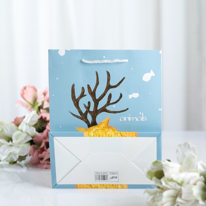 Пакет ламинированный 18 х 10 х 23 см