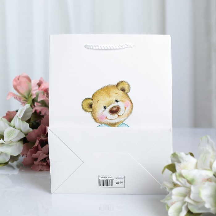 Пакет ламинированный 18 х 10 х 23 см