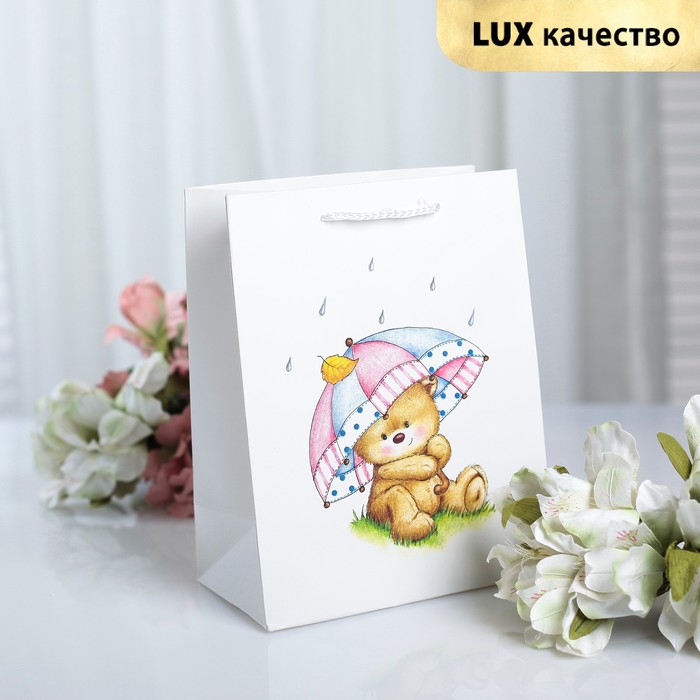 Пакет ламинированный 18 х 10 х 23 см