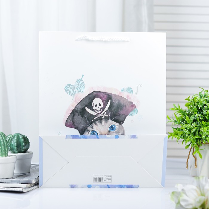 Пакет ламинированный 26 х 12 х 32 см