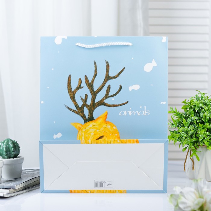 Пакет ламинированный 26 х 12 х 32 см