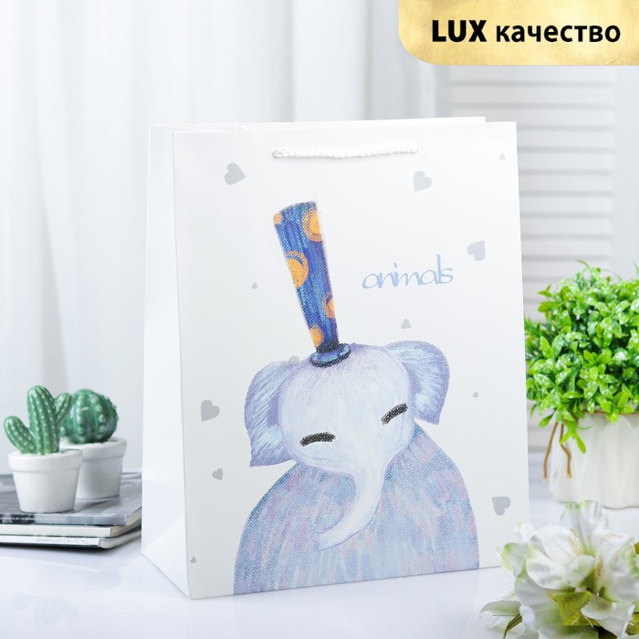 Пакет ламинированный 26 х 12 х 32 см