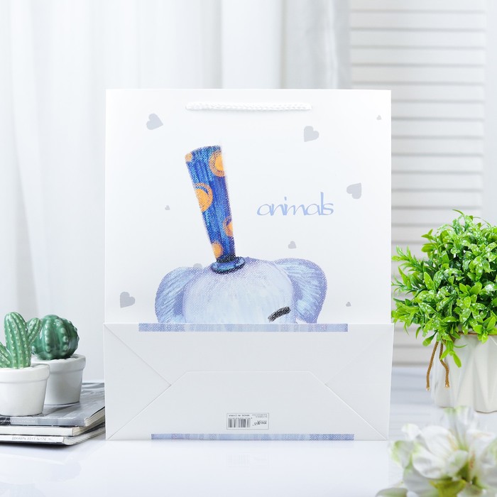 Пакет ламинированный 26 х 12 х 32 см