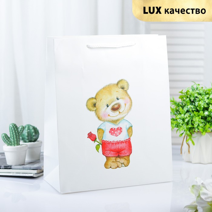 Пакет ламинированный 26 х 12 х 32 см