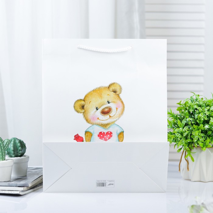 Пакет ламинированный 26 х 12 х 32 см