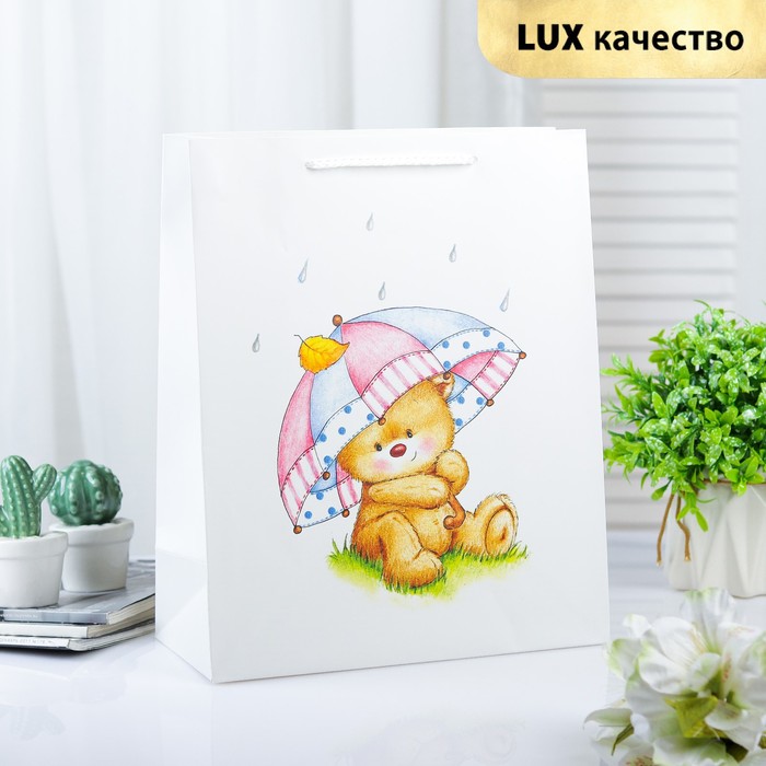 Пакет ламинированный 26 х 12 х 32 см