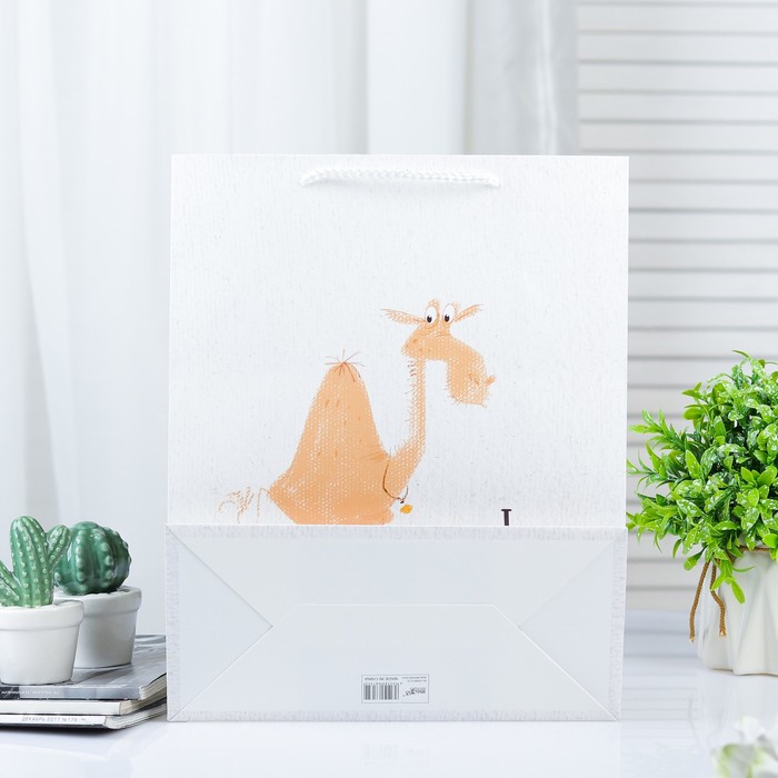 Пакет ламинированный 26 х 12 х 32 см