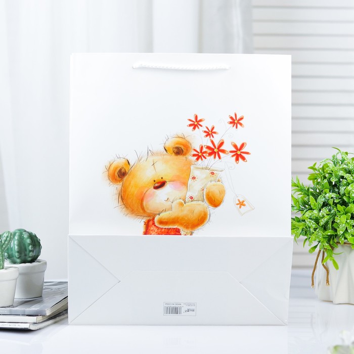 Пакет ламинированный 31 х 12 х 42 см