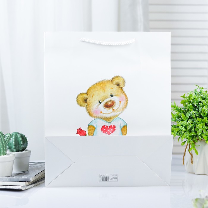 Пакет ламинированный 31 х 12 х 42 см