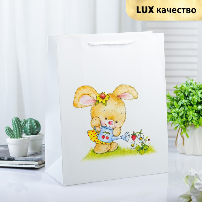 Пакет ламинированный 31 х 12 х 42 см