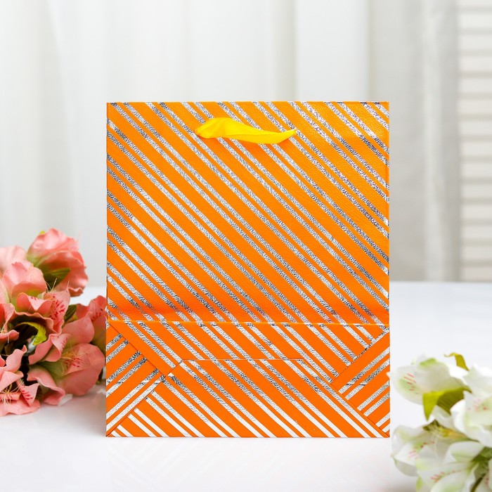 Пакет голография, 18 х 21.5 х 7,5 см