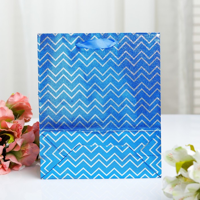 Пакет голография, 18 х 21.5 х 7,5 см