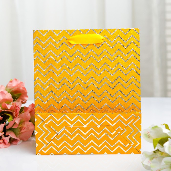 Пакет голография, 18 х 21.5 х 7,5 см