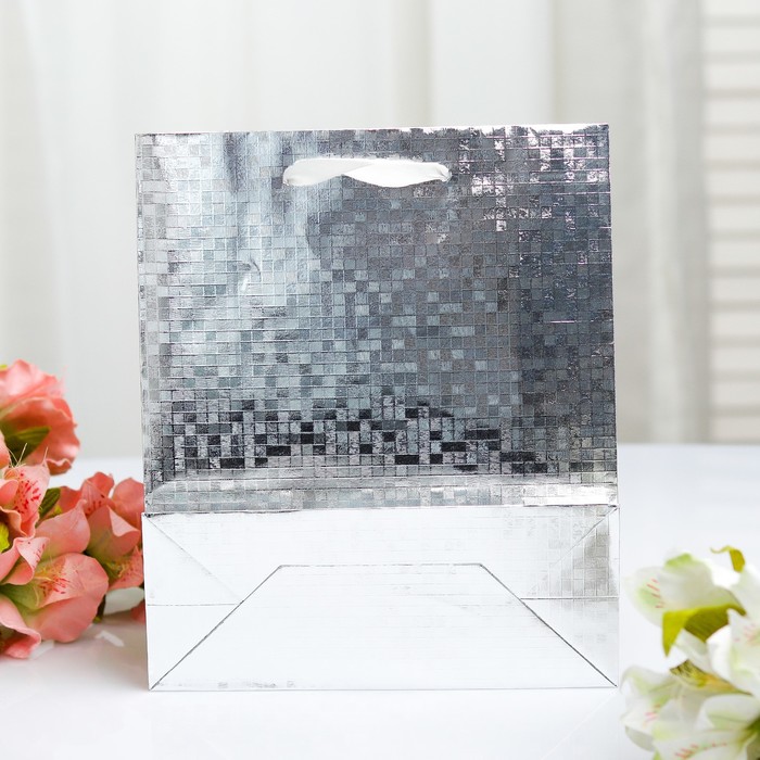 Пакет голография, 18 х 21.5 х 7,5 см