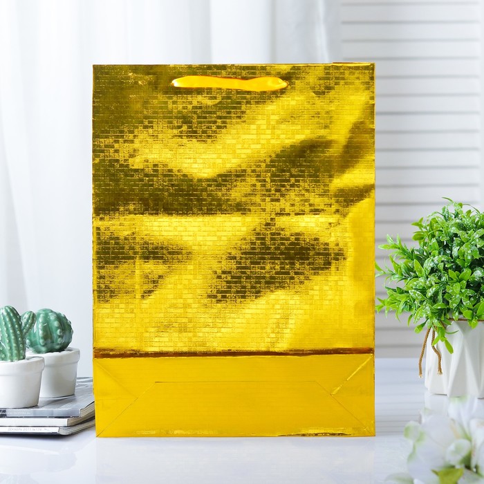 Пакет голография, 26 х 34 х 8 см