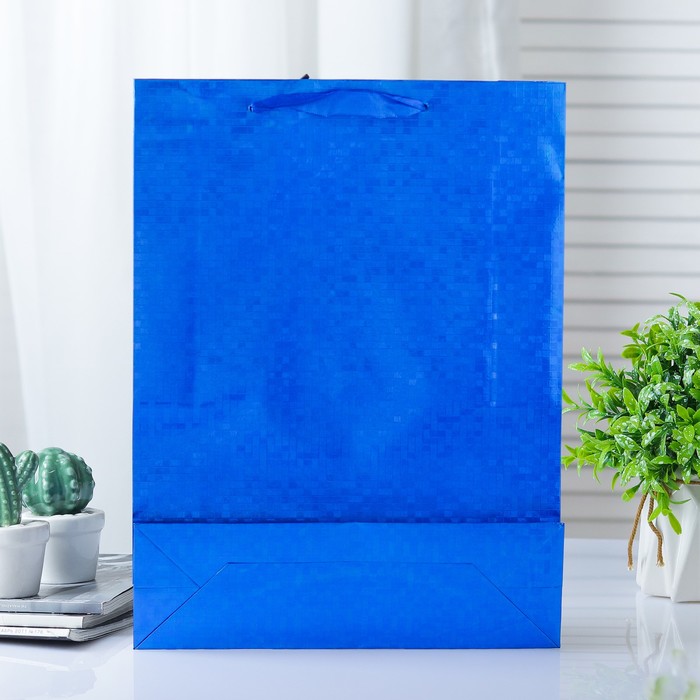 Пакет голография, 26 х 34 х 8 см