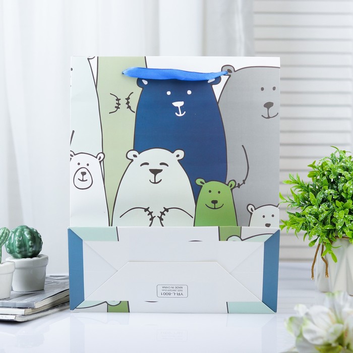 Пакет ламинированный 12 х 26 х 32 см