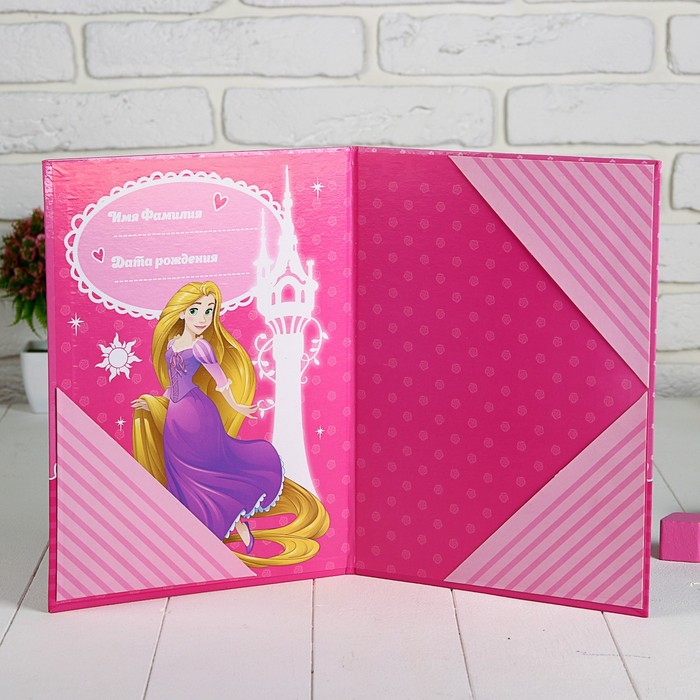 Обложка для документов "Первые документы принцессы", Принцессы