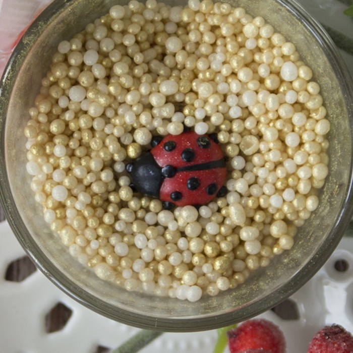 Силиконовый молд "Божья коровка мини" 2х1,8х0,5 см