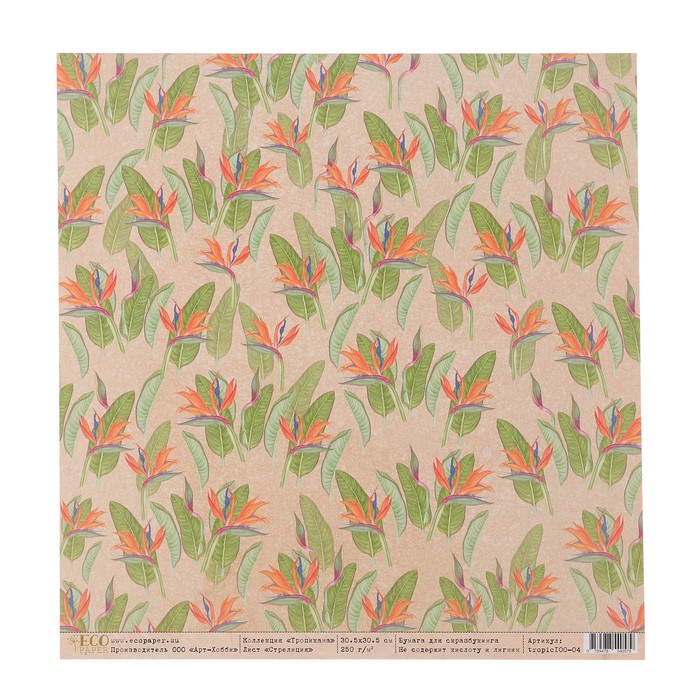 Бумага для скрапбукинга "Стрелиция "Тропикана" 30,5х30,5 см, 250 гр/м2