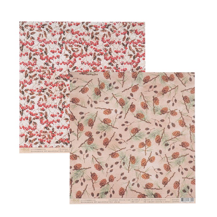 Набор бумаги для скрапбукинга "Зимние сны" (12 листов) 30.5х30.5 см, 250 гр/м2