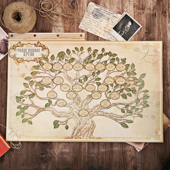 Подарочный набор "Родословная книга нашей семьи", с пером и чернильницей, корич., 35 х 42 см 32826